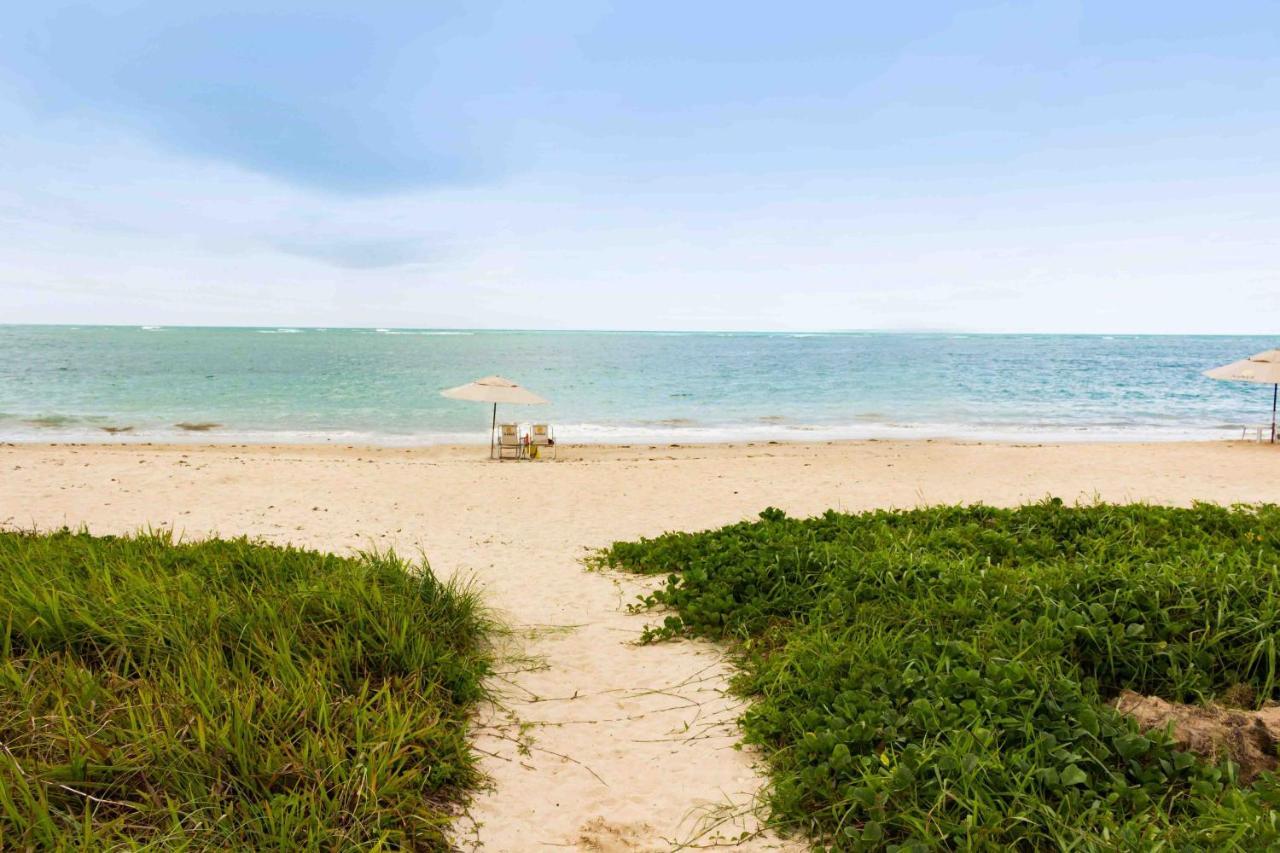 Flat Maui Beach Residence, Tamandare-Carneiros, Pe Na Areia, A Beira-Mar! Eksteriør billede